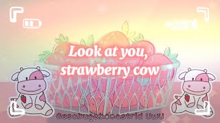 Strawberry Cow FULL SONG Lyrics  look at you strawberry cow [upl. by Ennagrom]