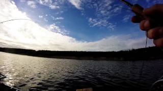 Trout Fishing On Cefni Reservoir Anglesey [upl. by Bui274]