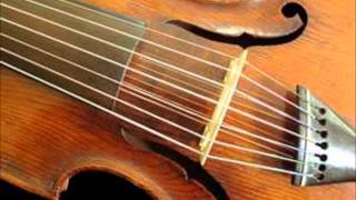 Hoffmeister Quartet in D major for Viola damore and strings [upl. by Kinna]