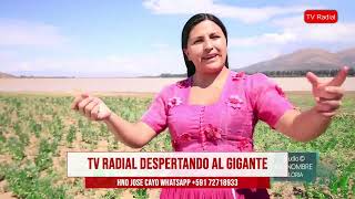 004  13046MUSICA CRISTIANA DE BOLIVIA 2024 TV RADIAL DESPERTANDO AL GIGANTE JOSE CAYO [upl. by Ordnasela]