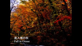 奥入瀬の秋 quotFall in Oirasequot Official Visualizer [upl. by Biddle]