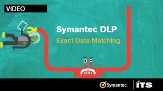 Symantec DLP Exact Data Match [upl. by Mazel]