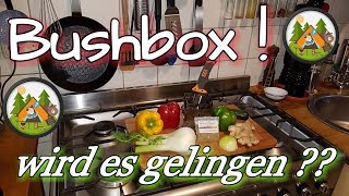 Bushbox  Dirks erster Versuch wird es gelingen [upl. by Psyche]