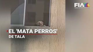 EL ASQUEROSO CASO DEL MATA PERROS  Este sujeto v10laba maltrataba y COMÍA perritos [upl. by Ilime272]