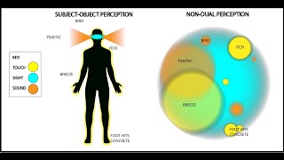 Dualism vs NonDualism Explained  with visuals [upl. by Greene]