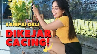 MANCING JADI SERU KARENA DIKEJAR CACING [upl. by Sucul]