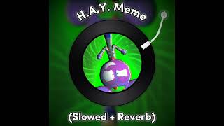 HAY Meme Slowed  Reverd Tayton 4000 [upl. by Entwistle]