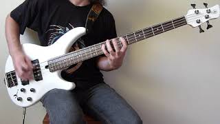 Warriors Of The World  Manowar bass cover [upl. by Cirnek]