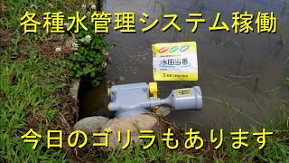 全ての水管理システムを稼働させました・用途と価格でいろいろと選択出来ます・2023 [upl. by Julie]