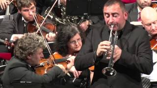 Mauro PaveseHaydnConcerto per tromba e orchestra in Mib maggiore [upl. by Marcella]