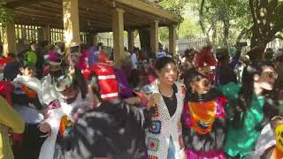 KALASH PHOL FESTIVAL BERIR 😍 [upl. by Armallas]