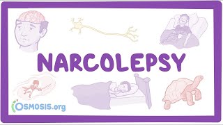 Narcolepsy NORD  causes symptoms diagnosis treatment pathology [upl. by Aicerg]