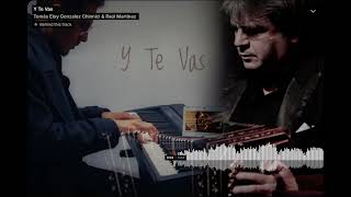 Y Te Vas  cover audio [upl. by Ainolopa558]