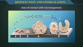 Disinfection and Sterilization [upl. by Yenial138]