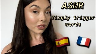 ASMR BEST TRIGGER WORDS in FRENCH and SPANISH🇪🇸🇫🇷 [upl. by Yramliw]