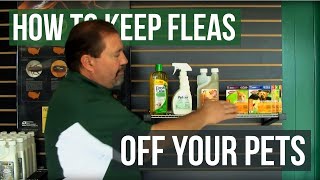 How to Keep Fleas off Pets [upl. by Enelia]