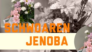 Schwoaren jenoba [upl. by Ziza]