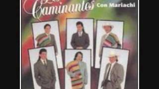 los caminantes con mariachi tengo que olvidarte0001wmv [upl. by Hellene]