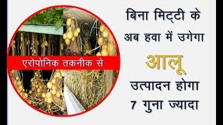 बिना मिटटी के हवा में उगेगा आलू  पैदावर 7 गुना ज्यादा  soilless potato farming  aeroponic vidhi [upl. by Nomrac]