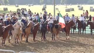 Staffoli 🐎 Corsalonga Western Show [upl. by Aydiv]