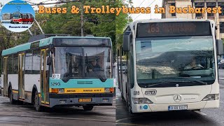 Buses amp Trolleybuses in Bucharest [upl. by Price567]