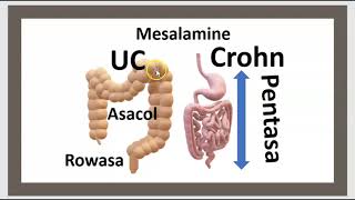 Quelle est la différence entre la RCH et la maladie de Crohn  Le Pentasa la Mésalamine 3 Minutes [upl. by Notsuj]