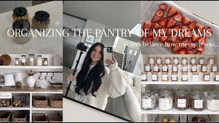 MY INSANE PANTRY TRANSFORMATION I cant believe how messy it was [upl. by Norak]