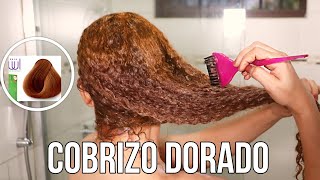 ¿Cómo Pintar sin Decolorar el Cabello con Tinte Cobrizo Paso a Paso🏡 ¡Fácilisimo [upl. by Mufinella]