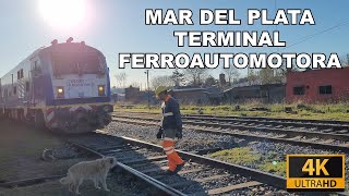 Recorriendo Mar del Plata Estación Ferroautomotora [upl. by Charters]