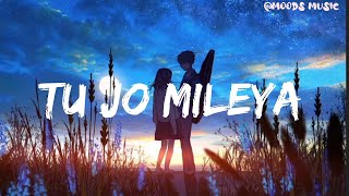 Tu jo mileya🥰  New song 🎧  Lofi version trending [upl. by Elysha373]