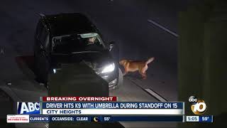 Driver hits K9 with umbrella during standoff on San Diego freeway [upl. by Eissim]