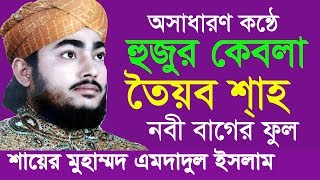 হুজুর কেবলা তৈয়ব শাহ  Sayer Mohammed Imdadul Islam  Beautiful Naat  Islamic Gojol  2018 [upl. by Ahsekal140]