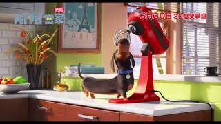 《Pet Pet 當家》30秒電影預告  THE SECRET LIFE OF PETS  30s TVC [upl. by Heisser]