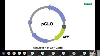 WEBINAR Demonstrating gene regulation using the Bio Rad pGLO Bacterial Transformation Kit [upl. by Joletta]