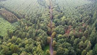 Thetford Forest drone footage [upl. by Baecher416]