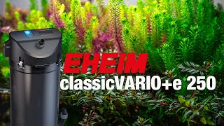 Eheim Classicvarioe 250 Aquarium Filter [upl. by Kronick]