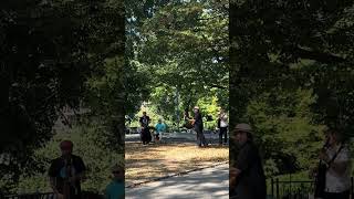 Central Park Jazz Musicians on a Sunday Afternoon jazzmusic late808 [upl. by Hilly]