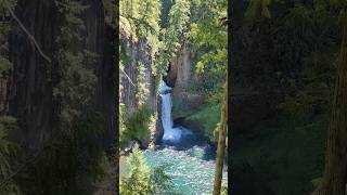 Toketee Falls in Oregon nature hikingusa travel [upl. by Laing]