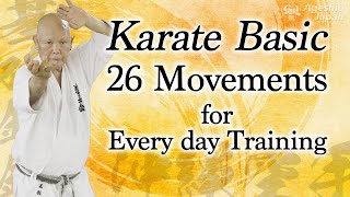 Karate Basic  26 Movements for Every day Training at Home Okinawan Karate  Ageshio Japan [upl. by Hyozo]