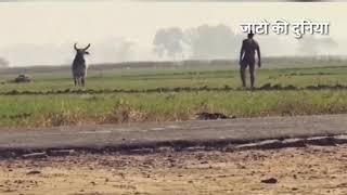 धारा 144 jaat new song जाटो का अड्डा [upl. by Consuela]