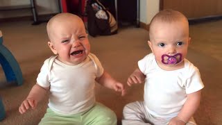 Twin baby girls fight over pacifier [upl. by Gnuj]