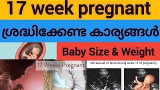 Week by Week pregnancy Malayalam  17 week of pregnancy  Baby developments [upl. by Ettenotna]