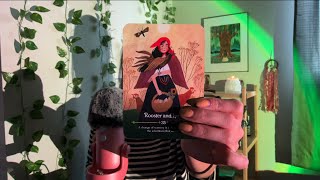 Card reading  asmr 🌙 [upl. by Feer362]