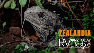 Zealandia  A wildlife sanctuary like no other in New Zealands capital city [upl. by Emelyne349]