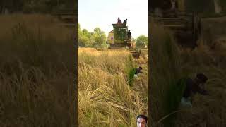 automobile riceharvester sugarcane farming agriculture farmer viralvideo mashine [upl. by Hoeg718]