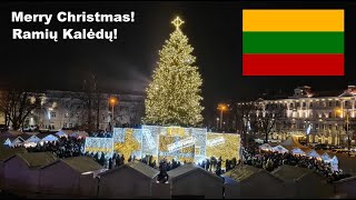 Lithuania Vilnius Christmas Tree 2024 Vilniaus Kalėdų eglė 2024 Різдвяна ялинка Вільнюса 2024 [upl. by Sochor]