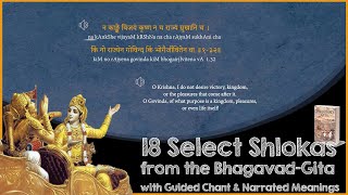 18 Most Important Shlokas of Bhagavad Gita  With Narrated Meanings [upl. by Ad]