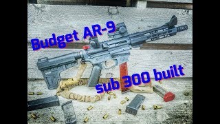 Cheapest AR 9mm Delta Team Tactical Tennessee Arms TAC9 Sector 9 falcon Davidson Defense [upl. by Hannahoj]