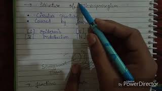 L01 Reproduction in flowering plants class 12 explain in hindi [upl. by Gnauq]