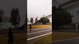 Sichuan university ChinaStudy in china autumn season beautiful view viral video [upl. by Eceinehs237]